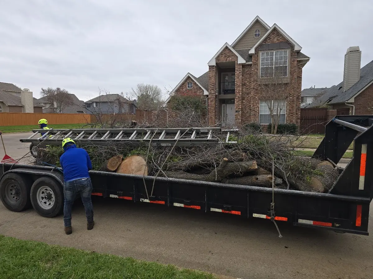 Expert Crown Reduction with proper safety equipment in Homewood